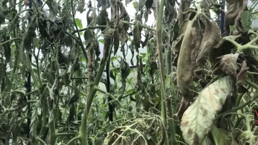 ����������� ������ � ��������������: 5 �������� ��������, ������� ������������� ��������