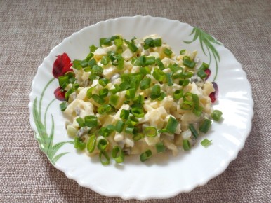 ������ ����� � �������� ��������: ��������� ���������� � ������ ������