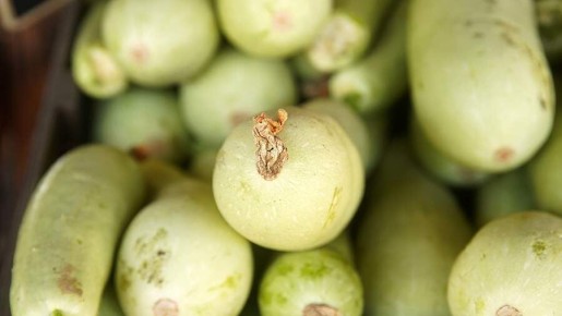 ��� ��������� �������� ��������: ������� �� ���������