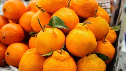 ��� ��������� ���� ���������: �������� ���������