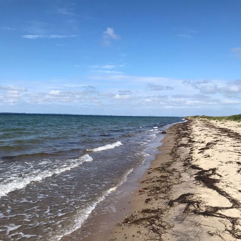 � ������� ������: ������������� ����������� �� ������ ����