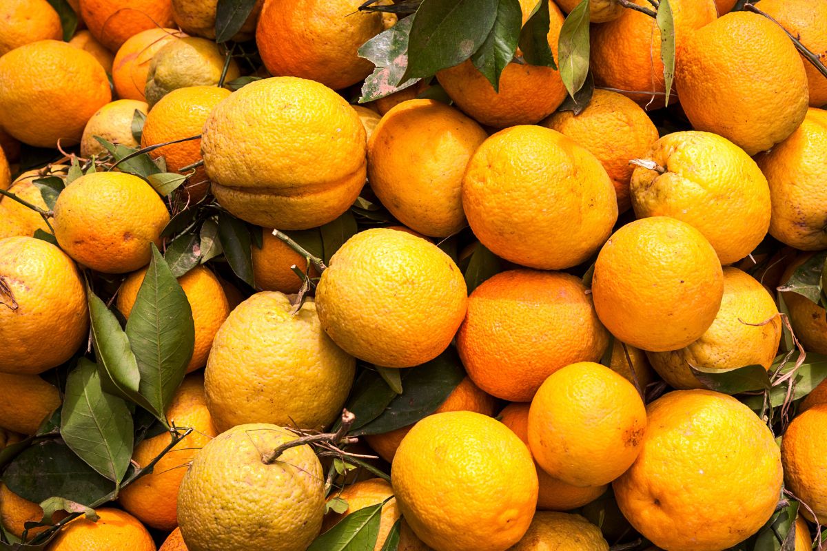 NuCitrus � ��������?��� ������ ������� �����������, ������� ����� ������ �������