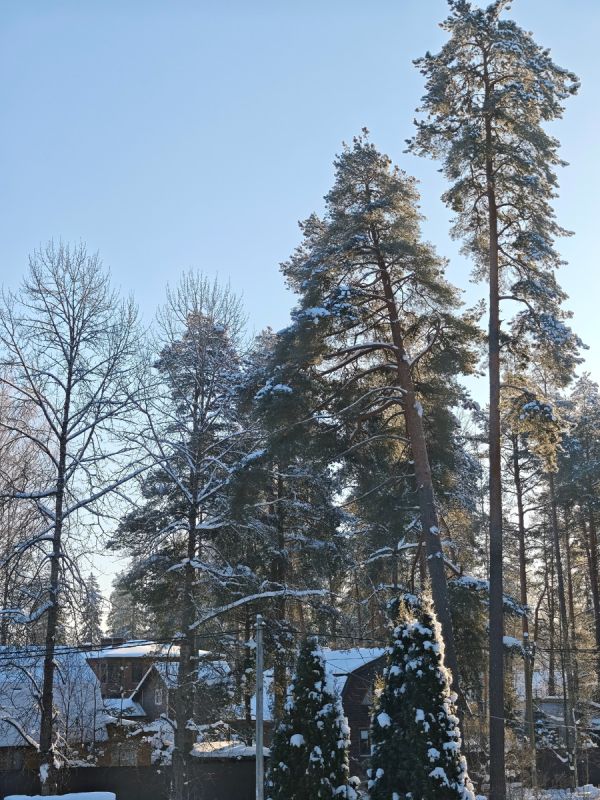 Как правильно кипятить воду: мифы и советы