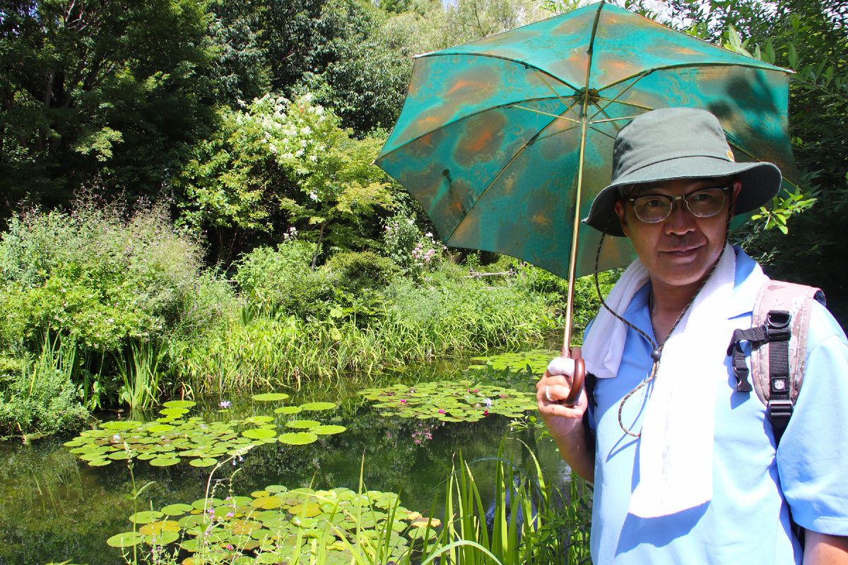 Япония воспроизводит шедевры Моне: Сада и уникальные артефакты