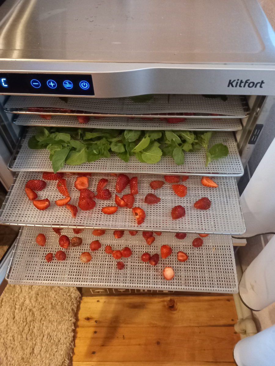 Травяной чай из дачных даров: что можно сочетать, как заготовить и сделать вкусным