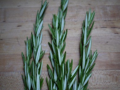 ��������: ������� ����������� ������������� � ��� �������� ��������