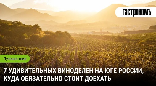 Увлекательное путешествие по винодельням юга России