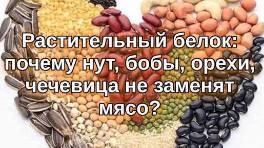 Растительный белок: почему он не может заменить мясо
