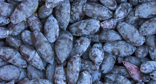 ������� ��������� ���������: ��� �� ������������ � � ��� ���������� ������