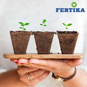 ����-������ �� �����������: ������ ������ �� ����� �����