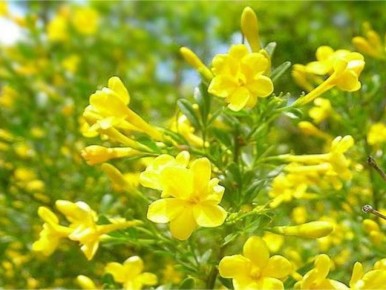 �������� �����: ��� ������� ��� ��� ����� � ������