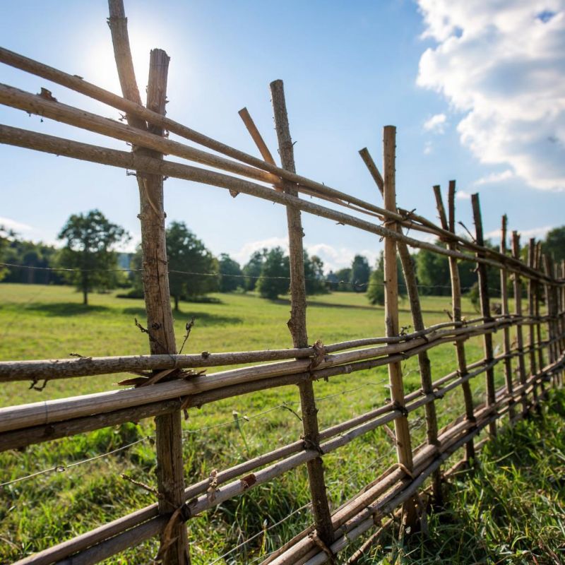 ����� �� �����: ��� ������� ����������� ������ �� ����� �������