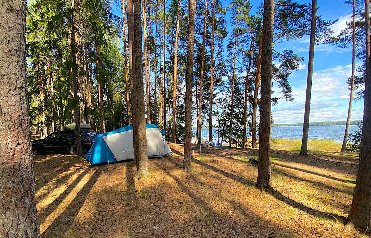 Летний день у озера и ужин, полный вкуса