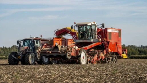 ��������� ������ ������ � �����������: ��������� � ��� �� ������