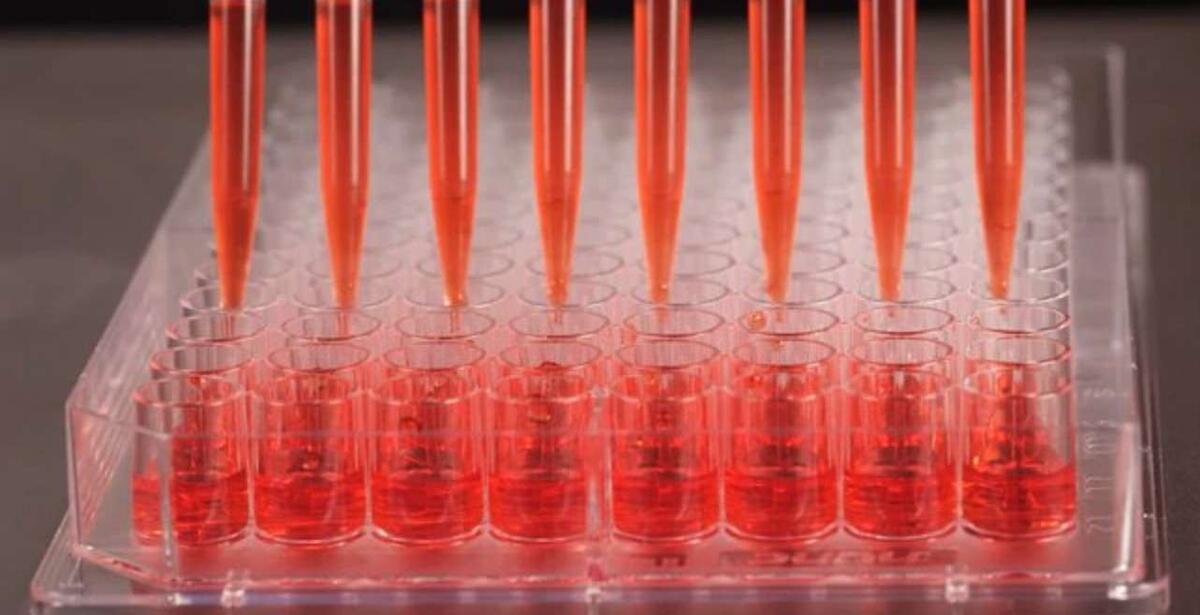 Искусственный интеллект: помощник, который изменяет науку