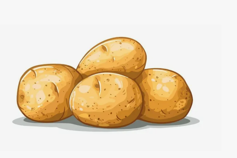 Успехи второго класса: Прогресс в обучении с картошкой