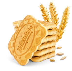 ��� ����������� ������� '���������': ������� ������ � ��������