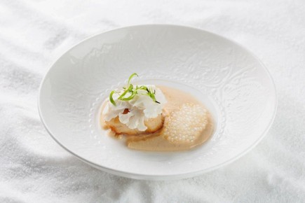 Неповторимые Вкусы Моря и Земли в Ресторане AquaTerra