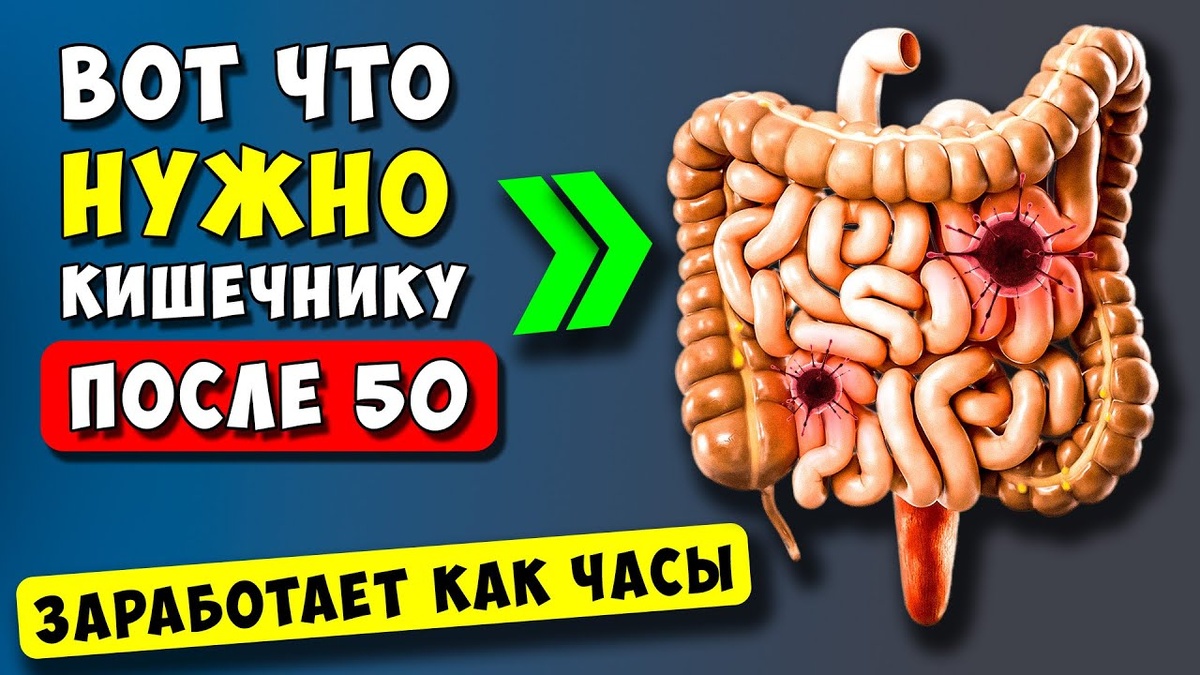Как сохранить здоровье кишечника после 55: секреты и рекомендации