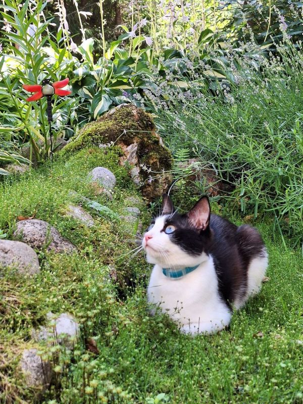 ��������� ���������� ���� �� ��� ���: ������� � ������