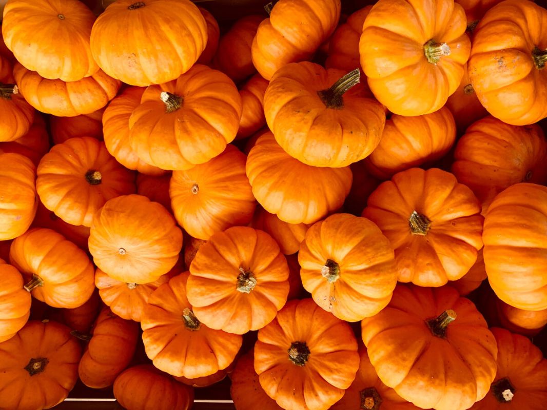 ��� ������� ��������� ����� ��� ����� ����