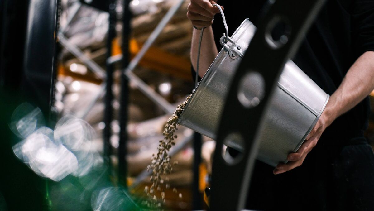 ��� ����������� ���� �� ������� ����: ����� ��������� �����