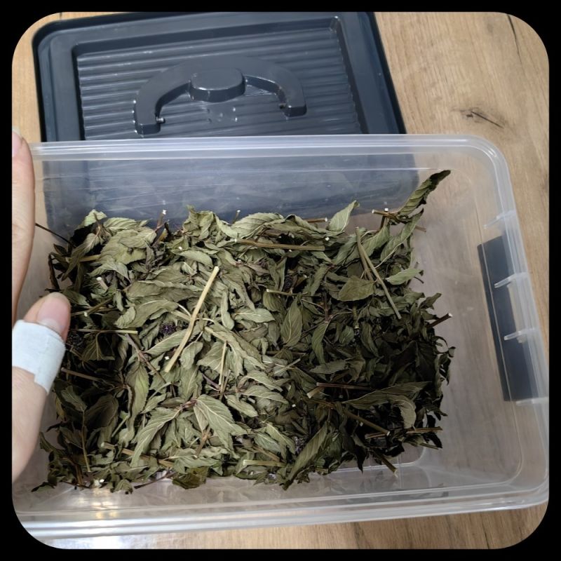 Как заготовки помогают сэкономить время и деньги на кухне