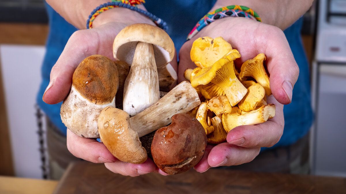 ������� � ���������� ������ ���� ����� ������