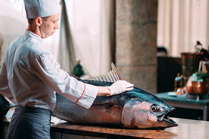 Рыбаки у Курил поймали тунца, вес которого впечатляет и ценой поражает