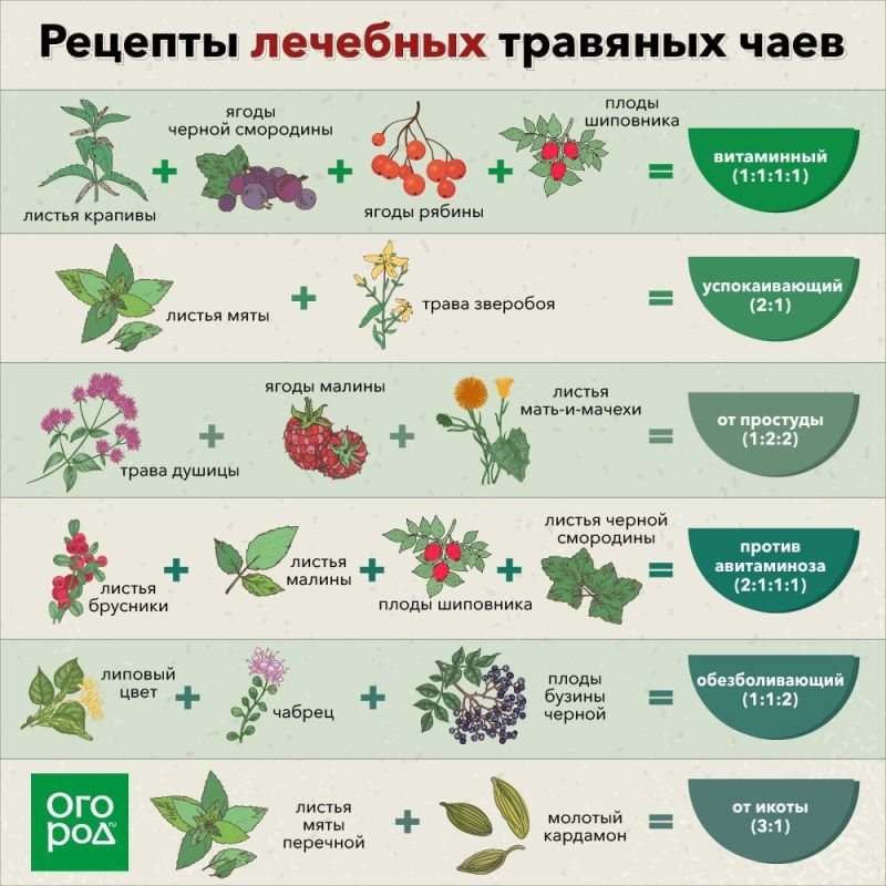 Топ-Рецепты, Которые Порадуют Ваш Ужин