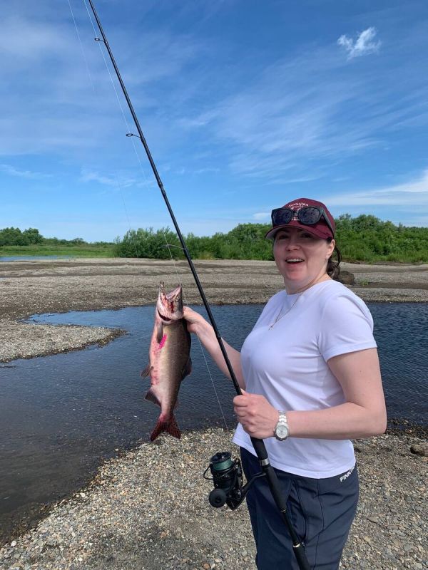 Сезон горбуши 2026 года на Камчатке