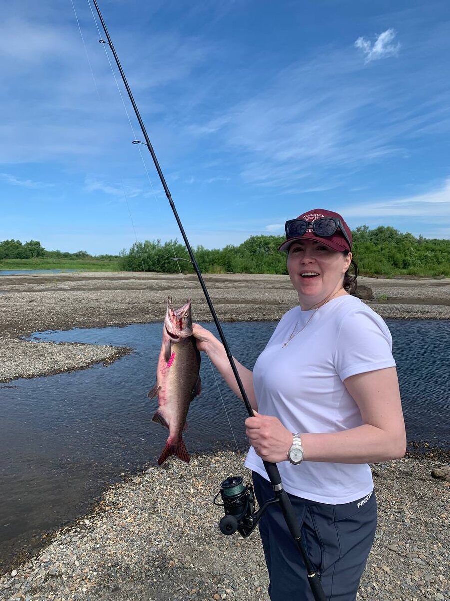 Сезон горбуши 2026 года на Камчатке