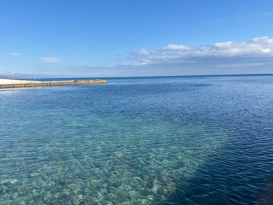 ��� ���� ����������� �� �������� �������