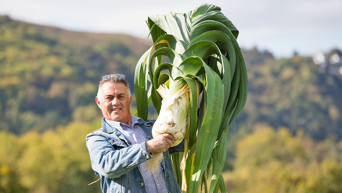 Великобритания удивила: лук-порей весом 10,7 кг стал новым мировым рекордом