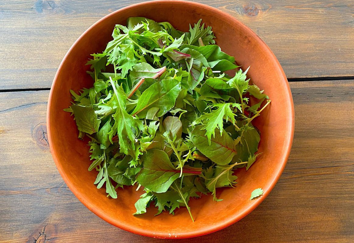 ������ ����� � ����������: ������, ������ � ���������� ������