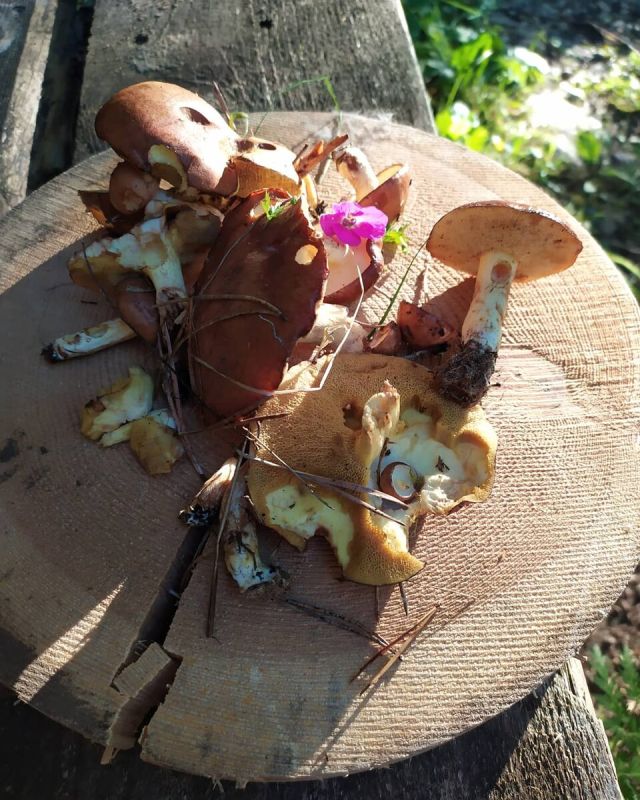 ����� ������� � ���������: ������� � �������������� ������