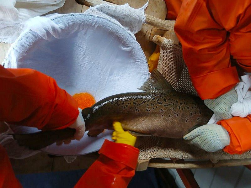 �� ������� ���������� ������ �������� ������ �� ����������� �����