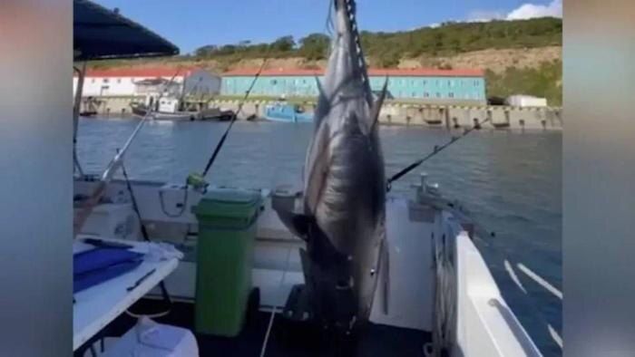 ���������� ����� � �����: ����, ���������� ��� ������� �� ��������