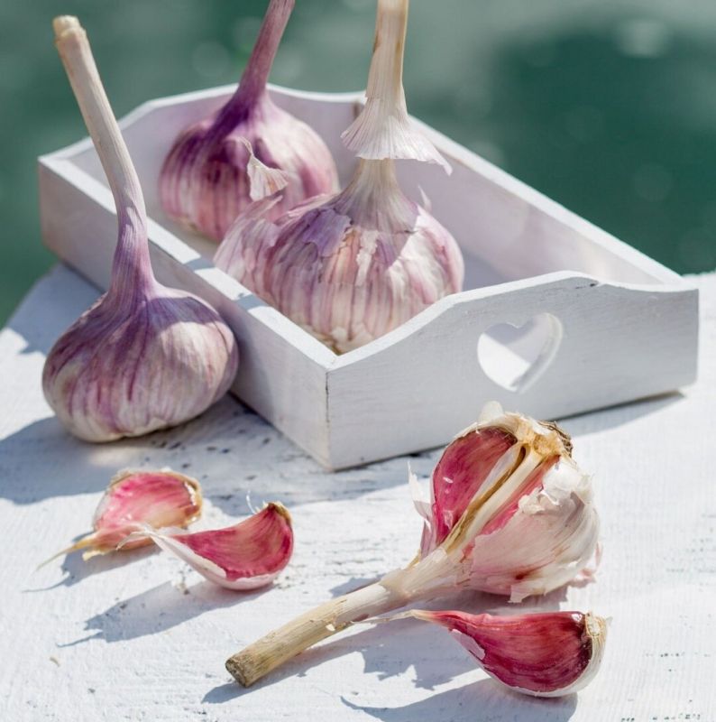 ������ ��� ������ ������� ���������� ��������