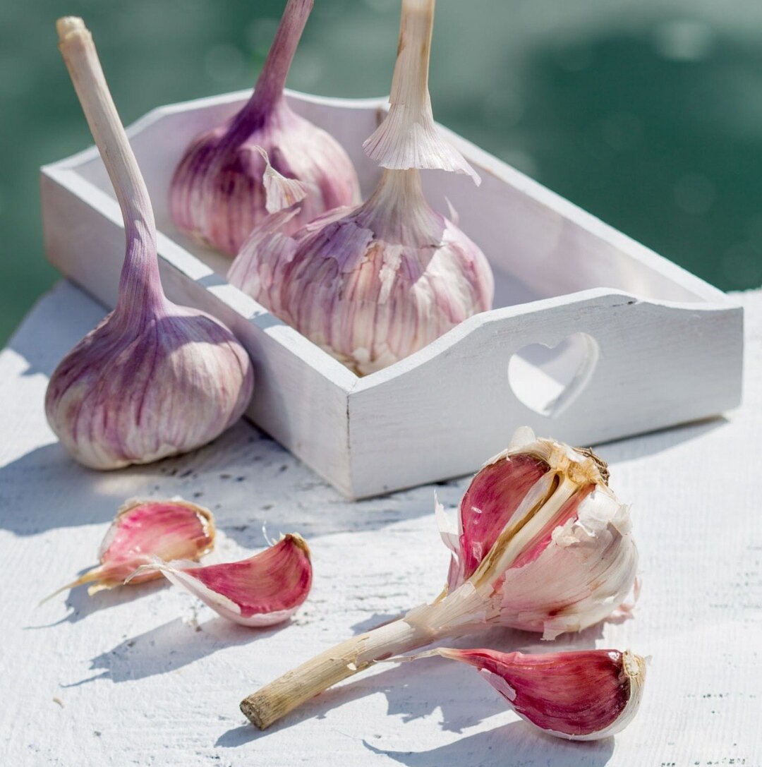 Чеснок как символ русской кулинарной культуры