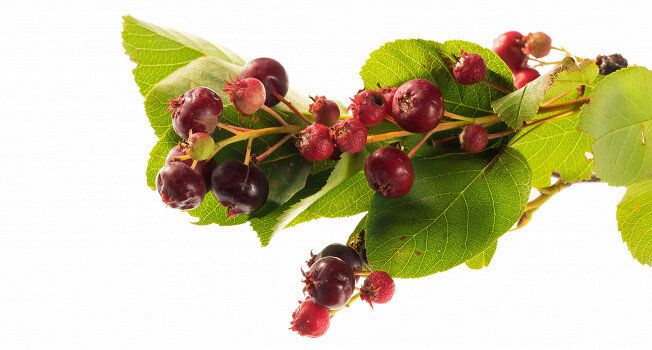 ����: ��� ������������ ��� ���������� ����� � ���������