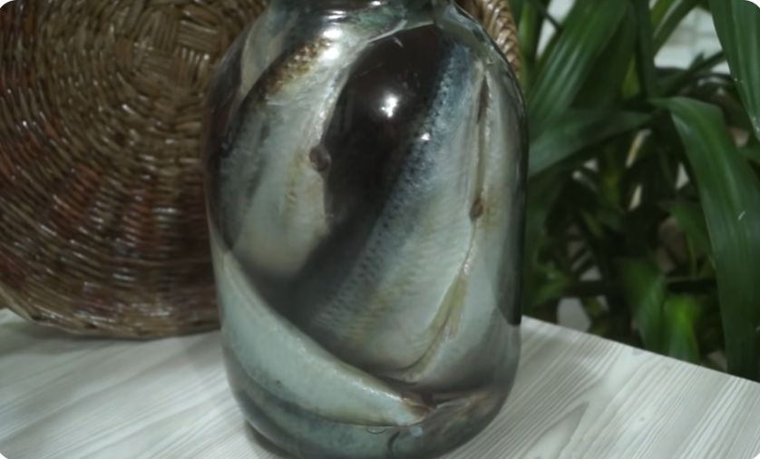 ������ ����� ������ ������� ��������������: ������� � ������