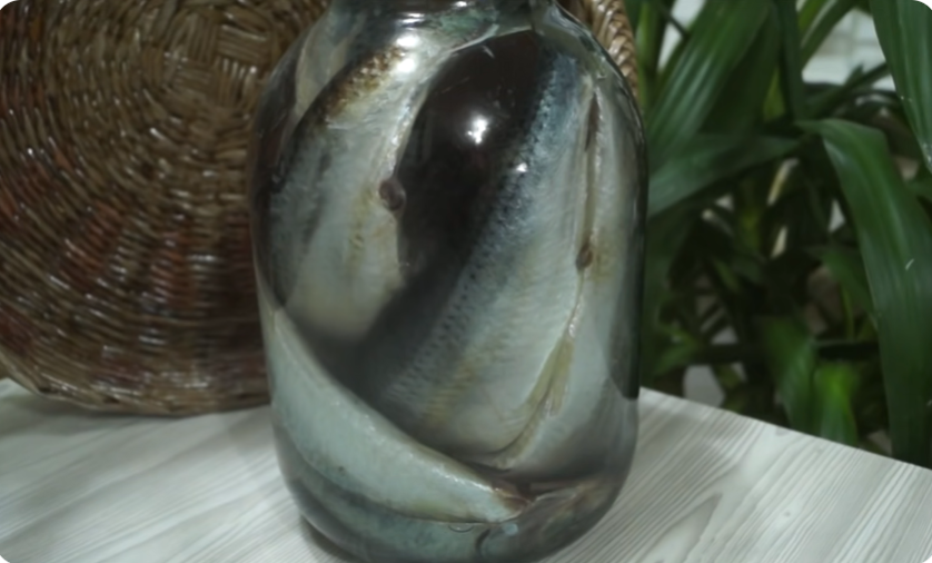 Почему стоит солить селедку самостоятельно: секреты и советы