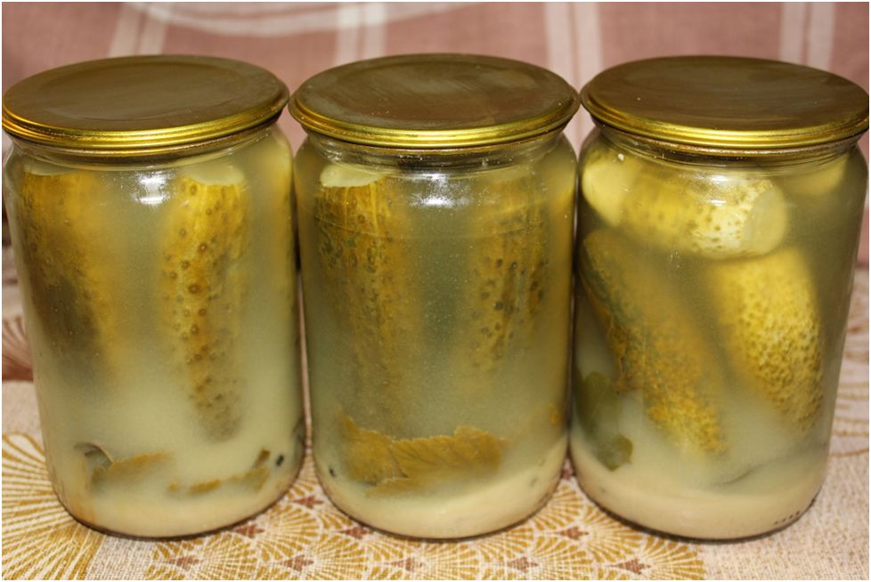 ������� ������������ ������� � ��������: ������ � ������