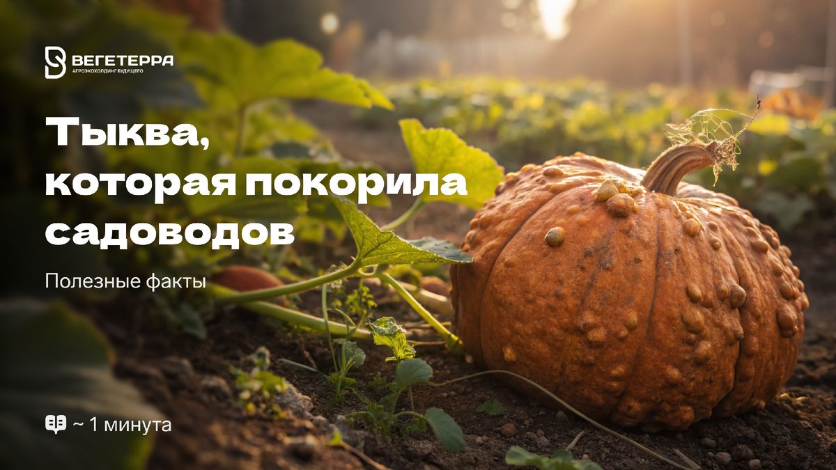 ��������� �����: ��������, ������� ����� ����� ���������