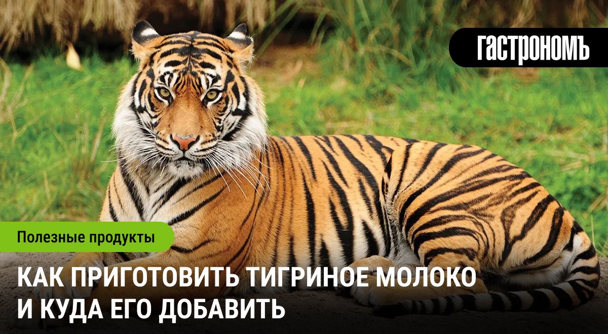 ����� ��������� ������: ��� ��� � ��� ��� �����������