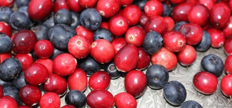 ������ ������� ���������� ���� ���� � �����, � ������ ���