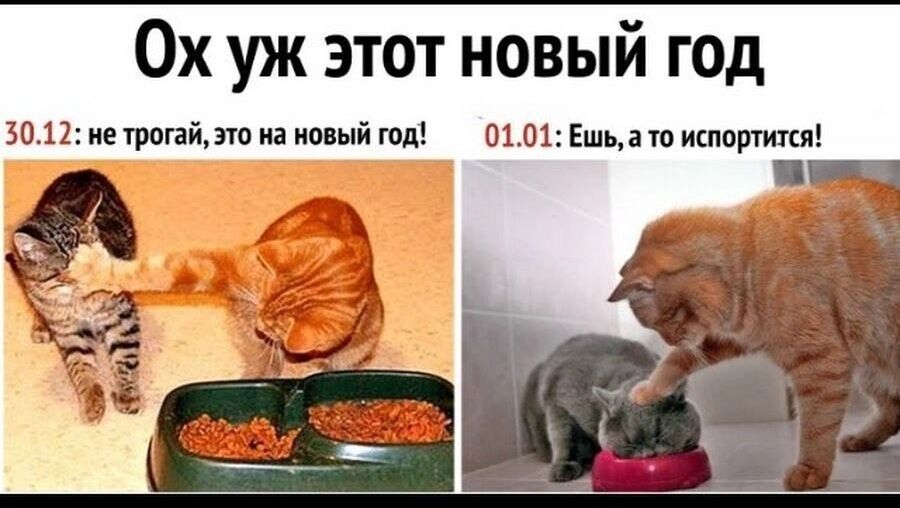 Не оставляйте новогодние салаты: чем опасны недоеденные блюда