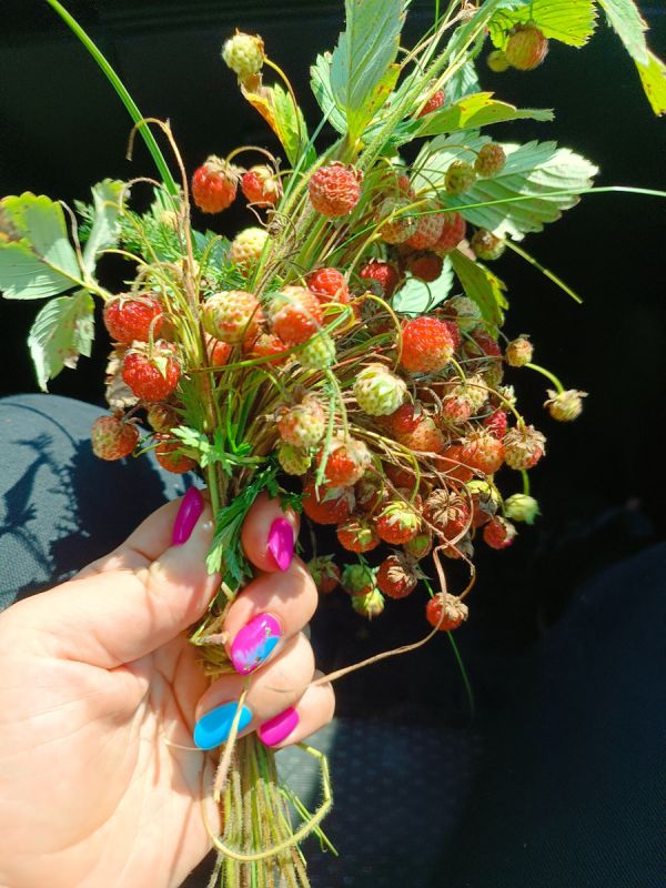 ������ �������: ��� ������ ���� �������� ������� �������