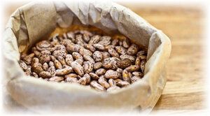 ��� ��������� ������� ������ � �������� ��������